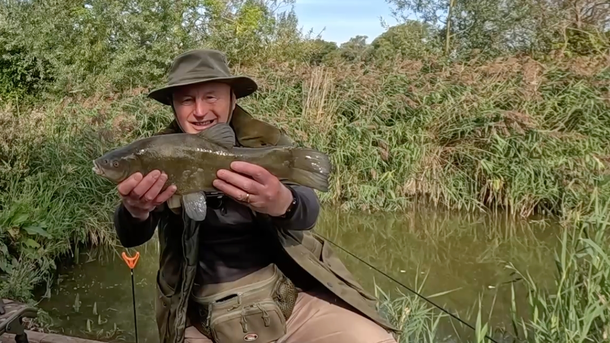 3.5 lb tench 2nd fish