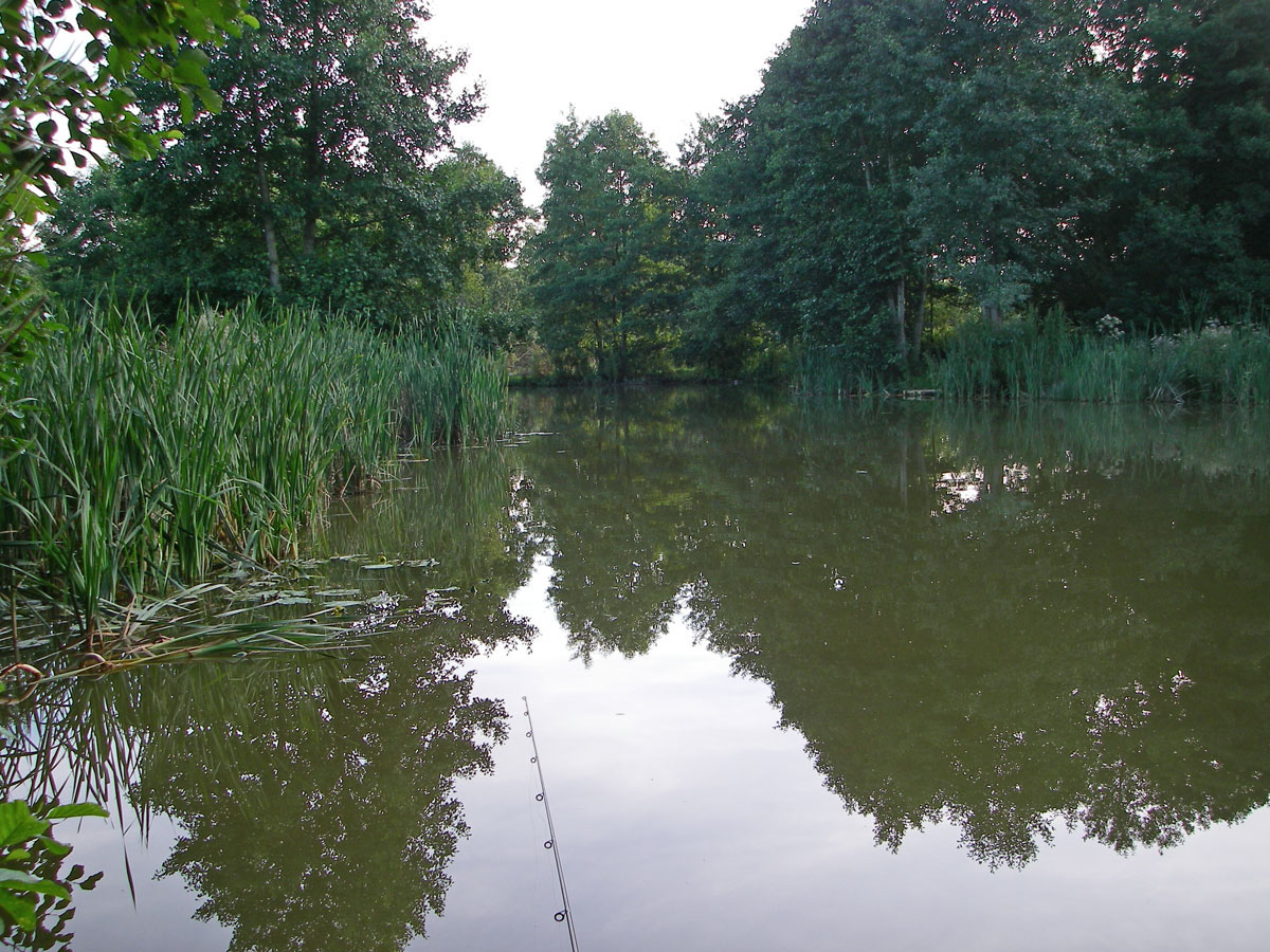 Figure of Eight Pool