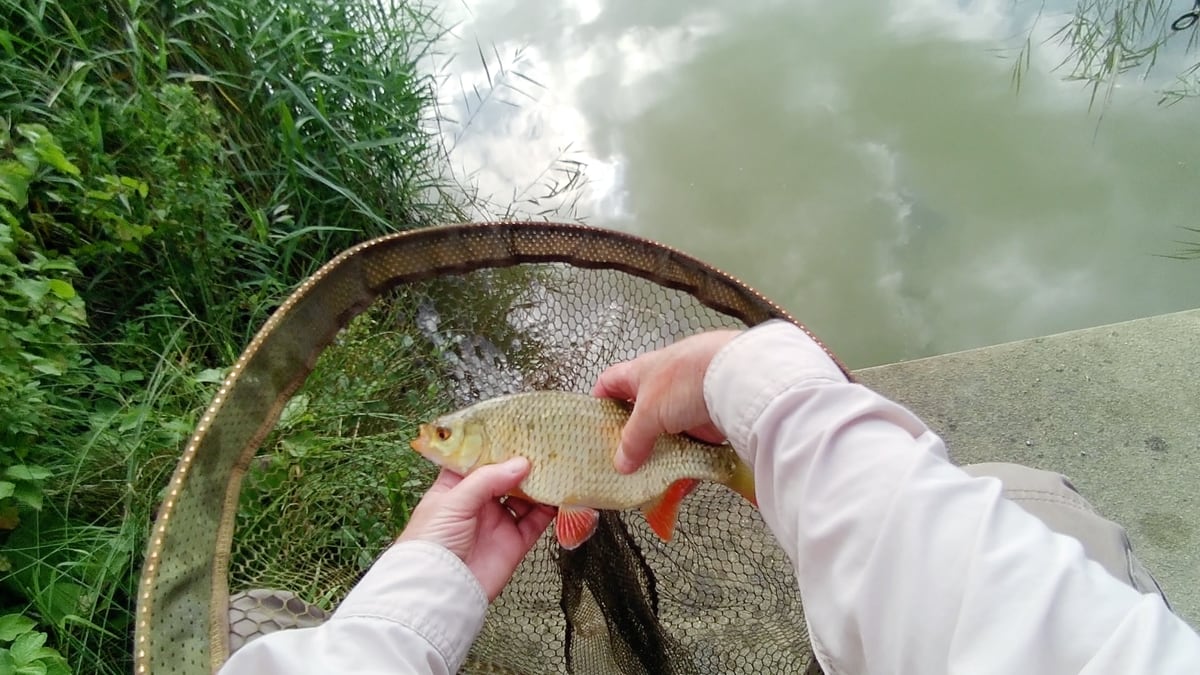 first rudd