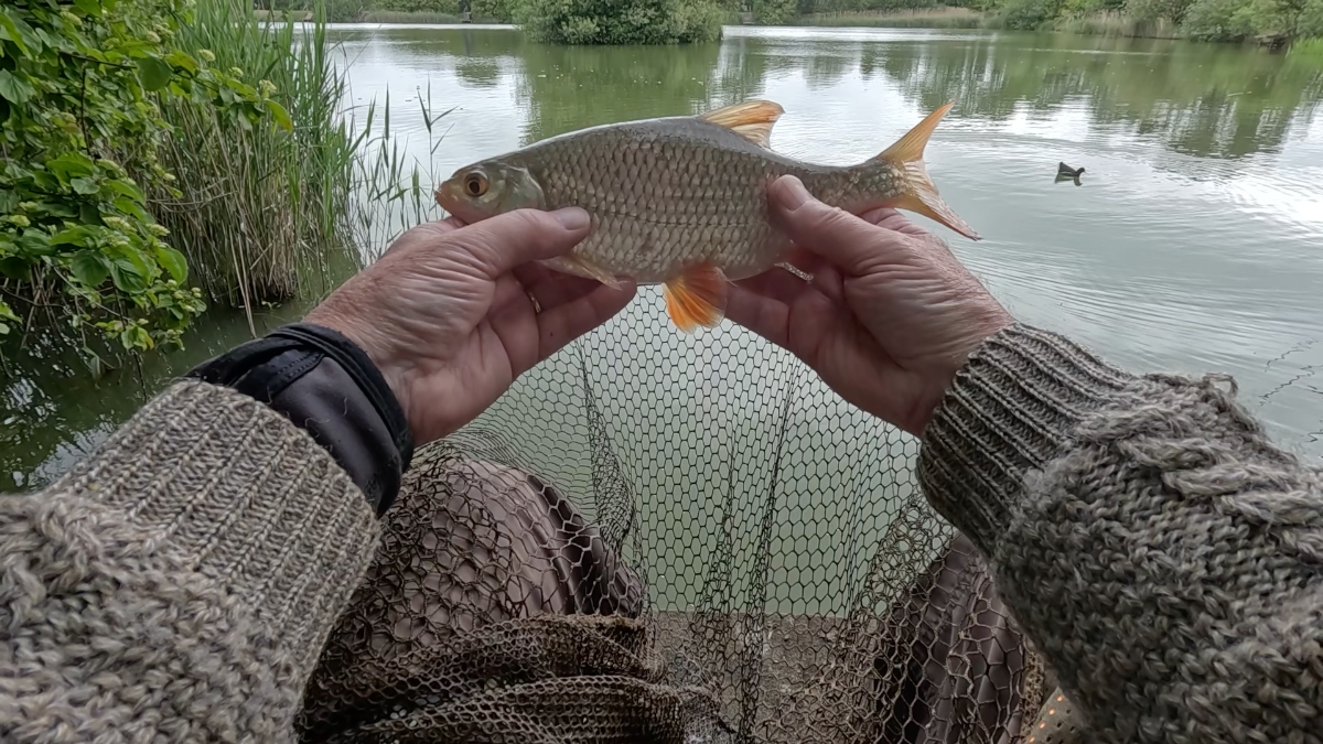 first rudd
