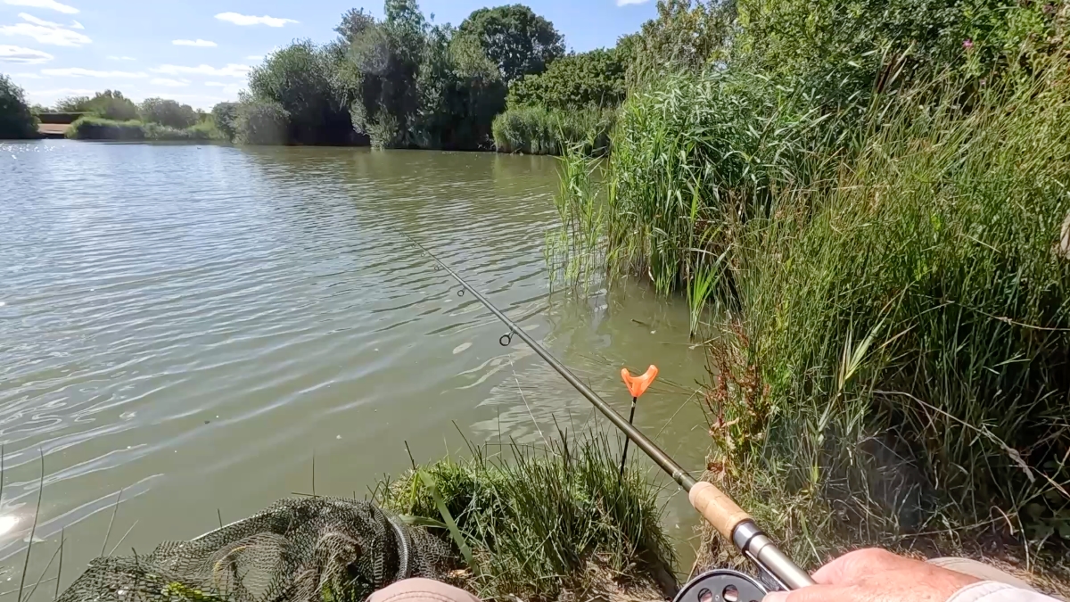 the swim