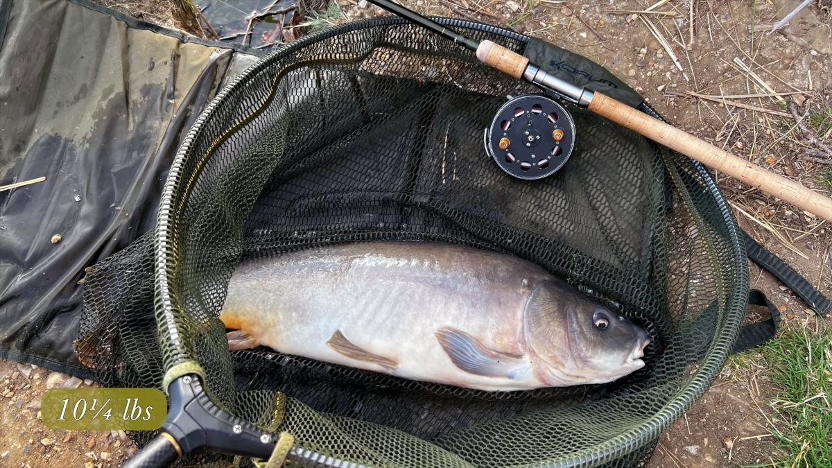 third carp