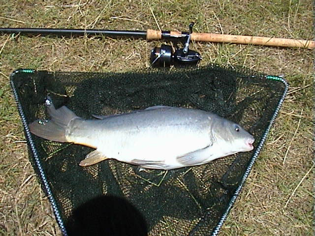 Leather 4lb 12oz
