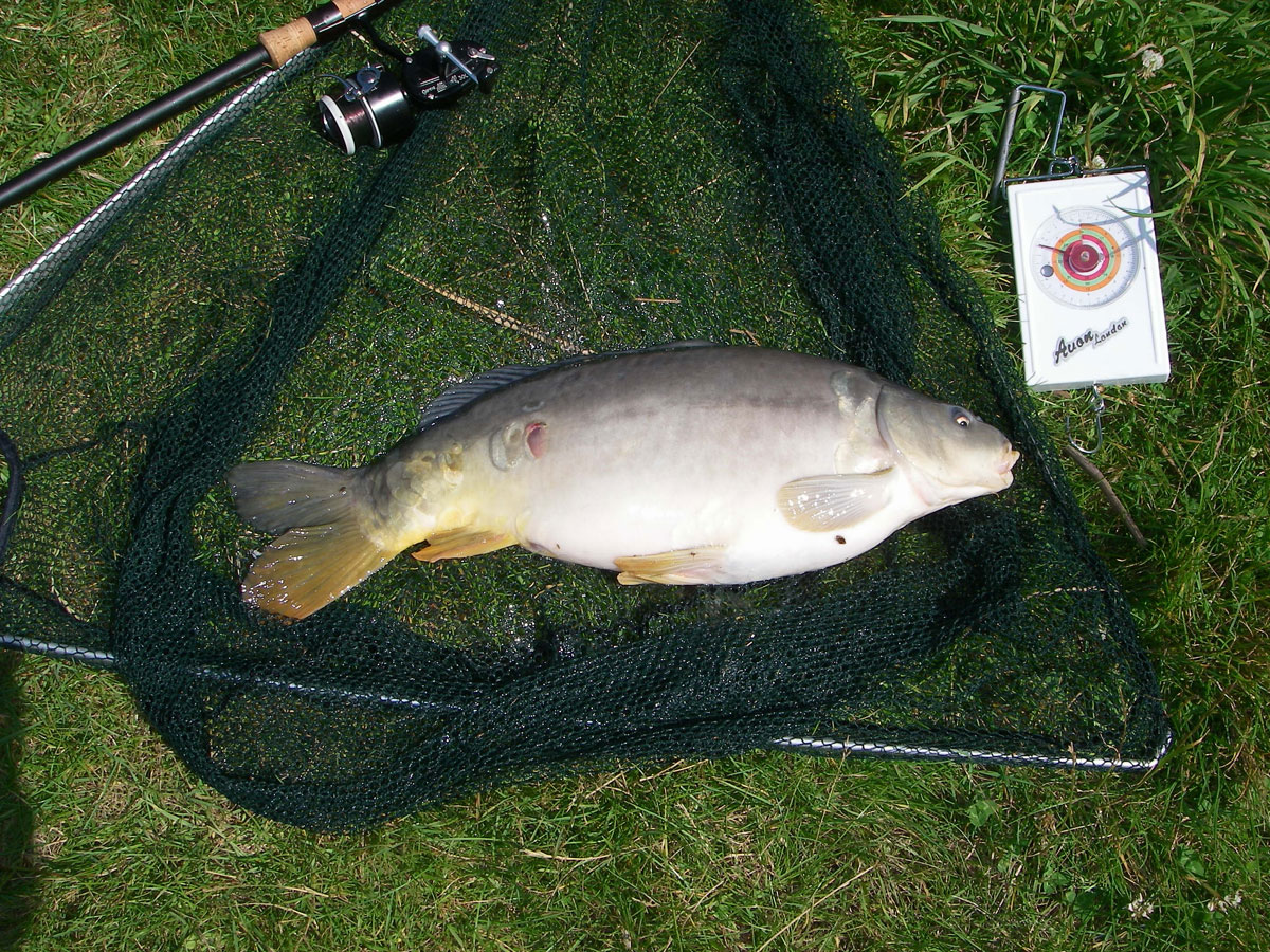 Mirror 7lb 10oz