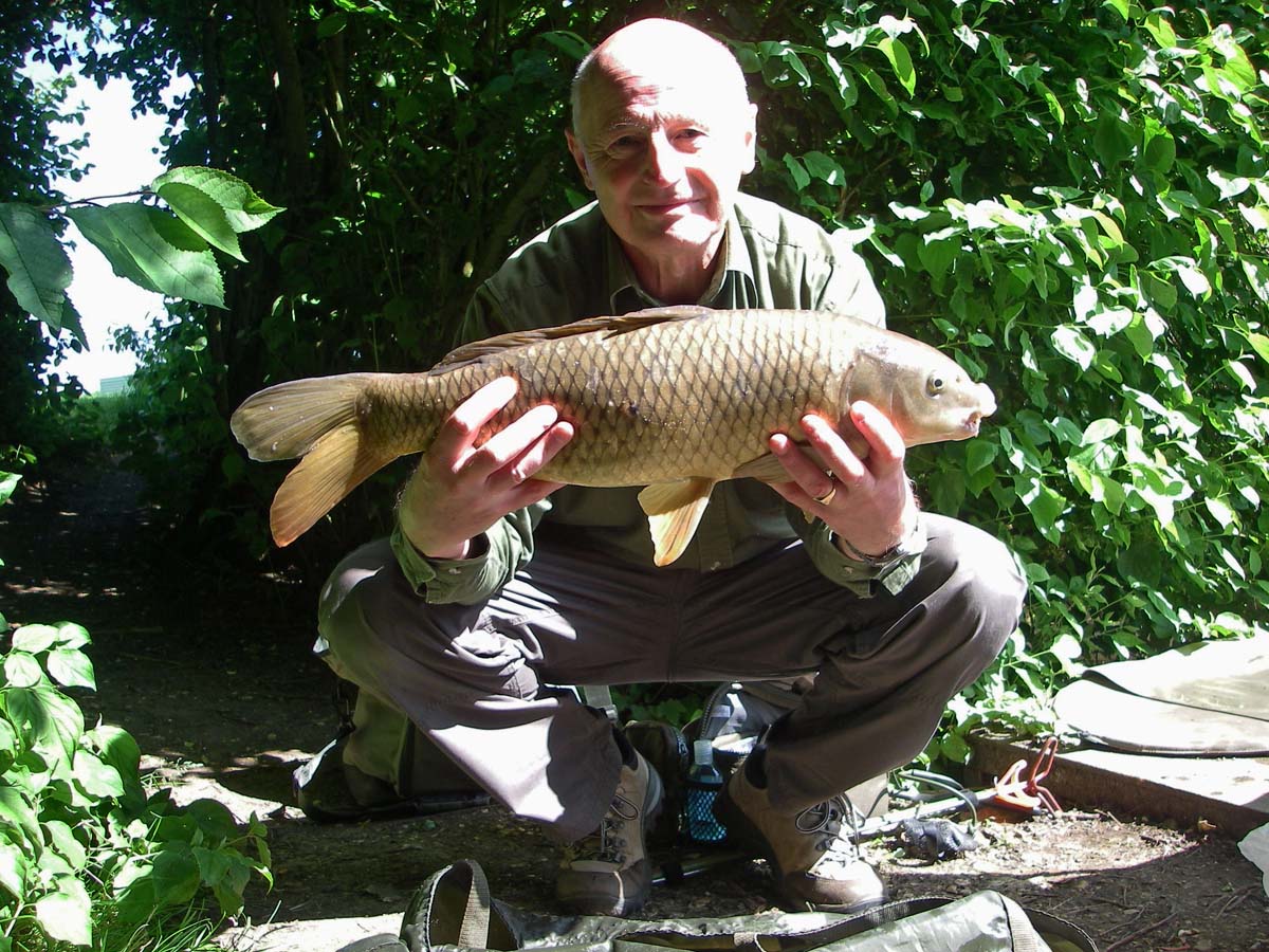 Common 7lb
