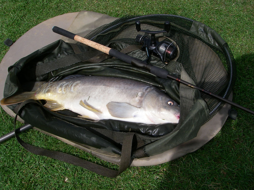 Leather 7lb 13oz