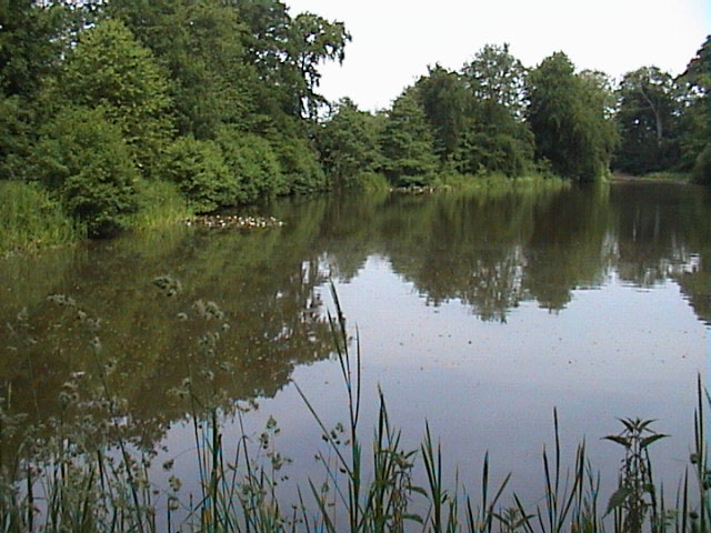The Lake