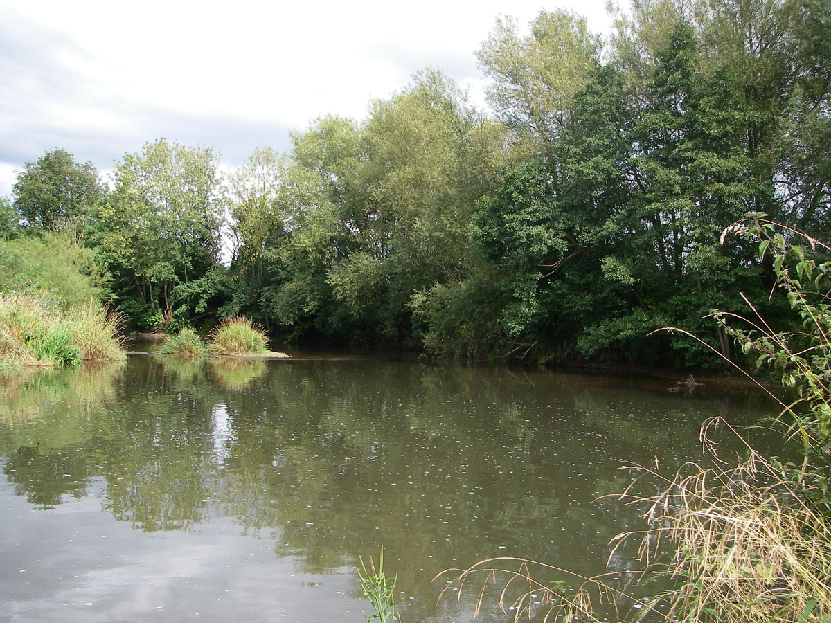 The second swim
