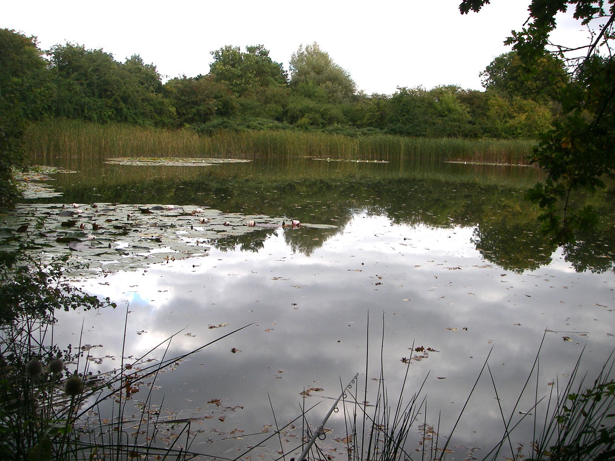 SW corner swim