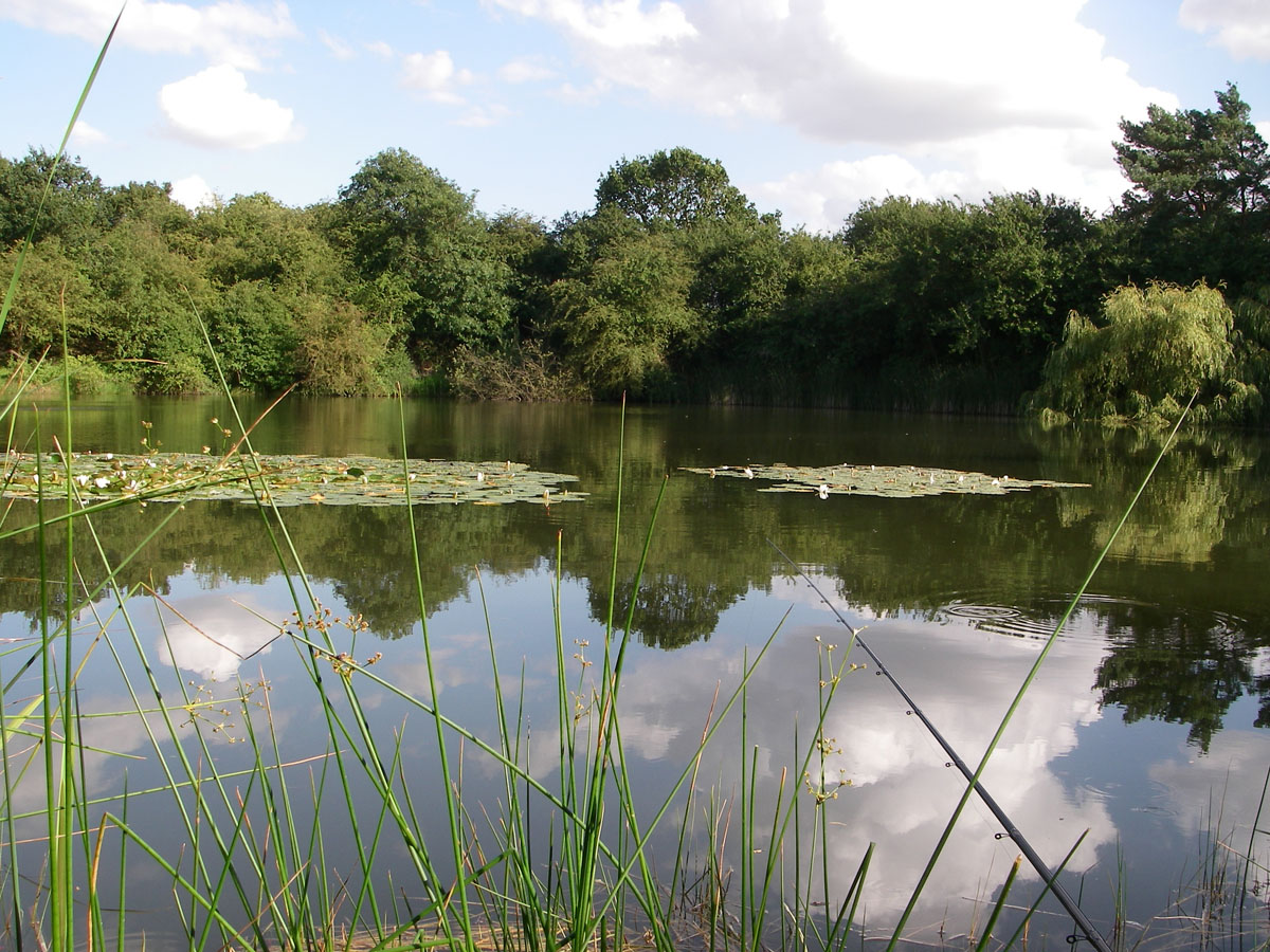 The Lake - First view