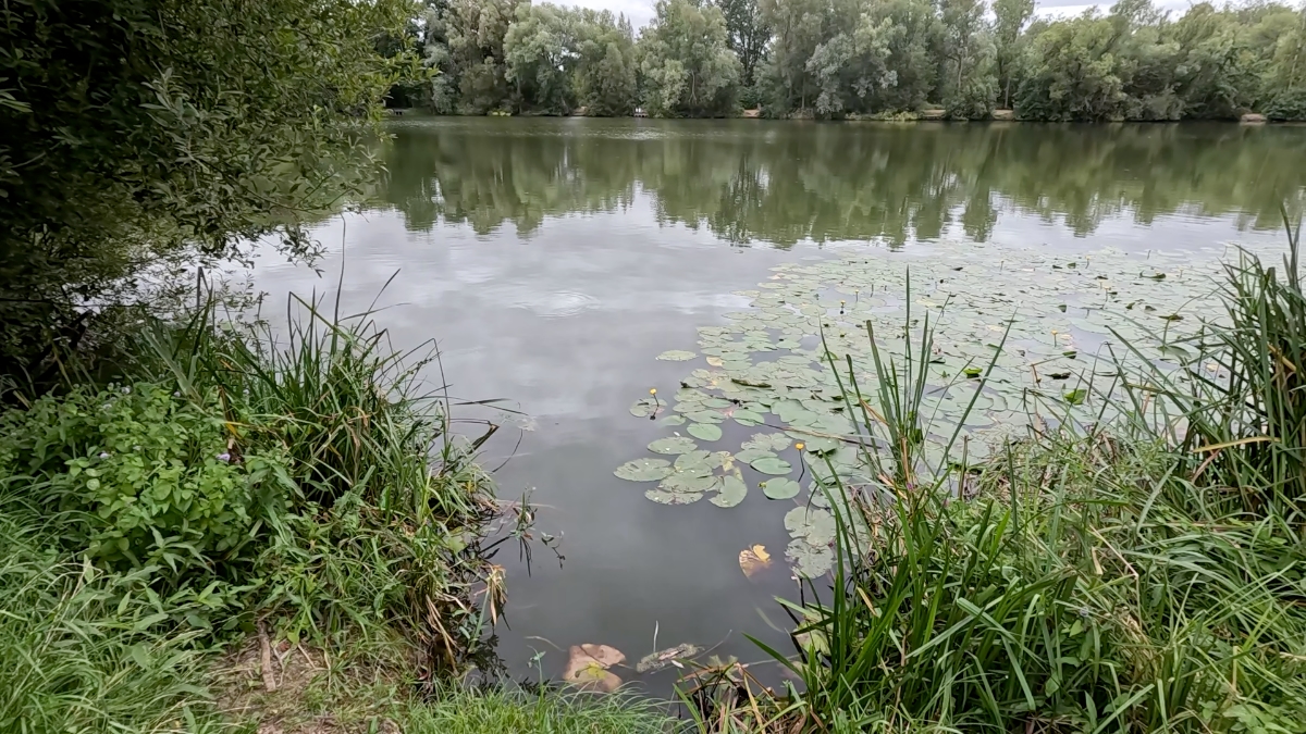 swim other side of lake