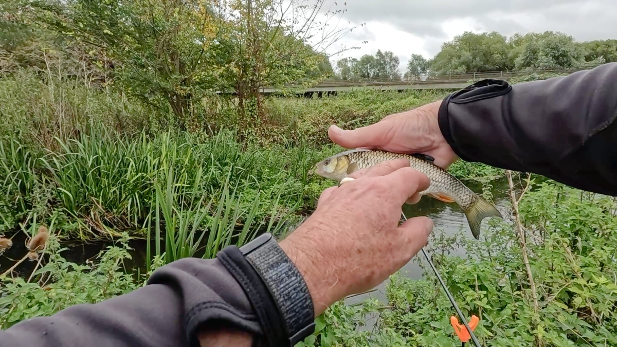 3rd chublet