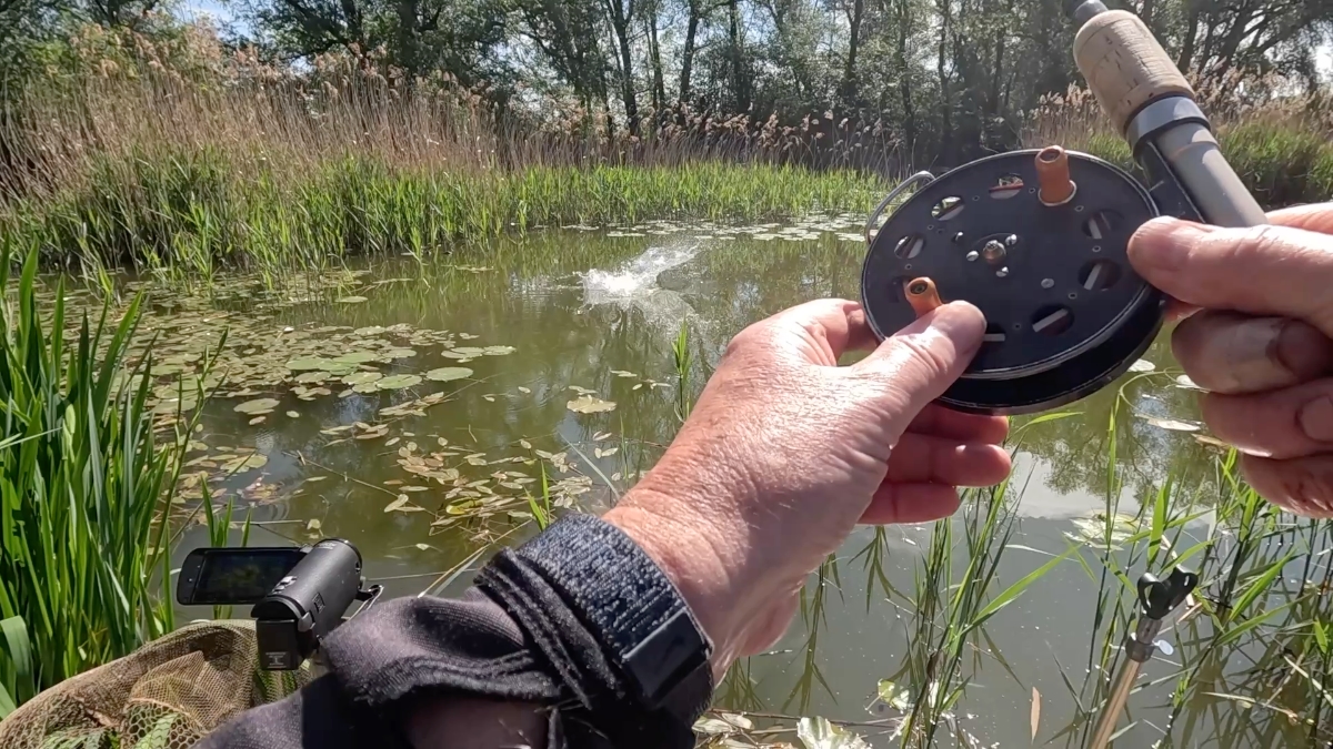 foulhooked carp