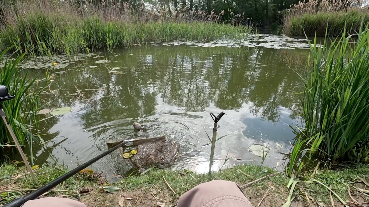 landing first tench