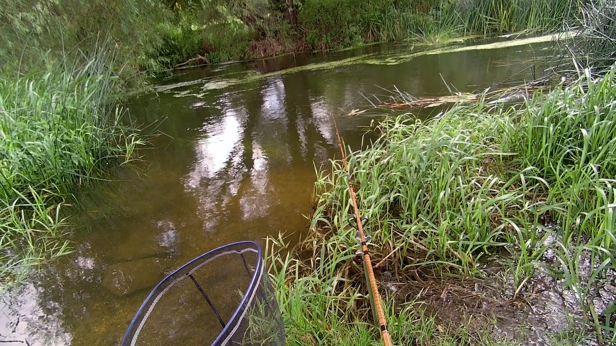 Mill Stream - first swim and cane rod