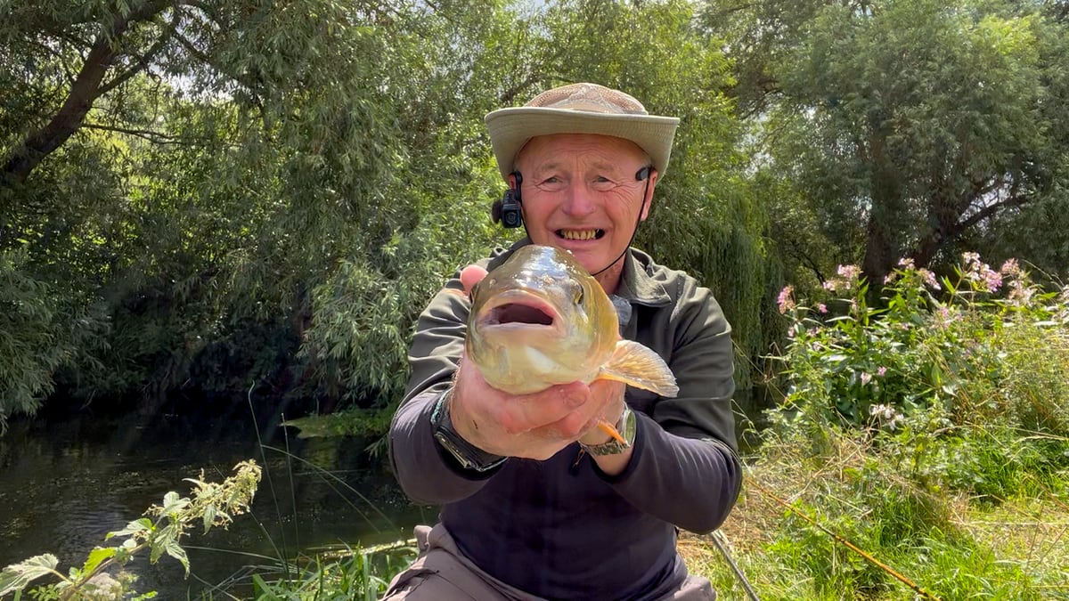 chub front view