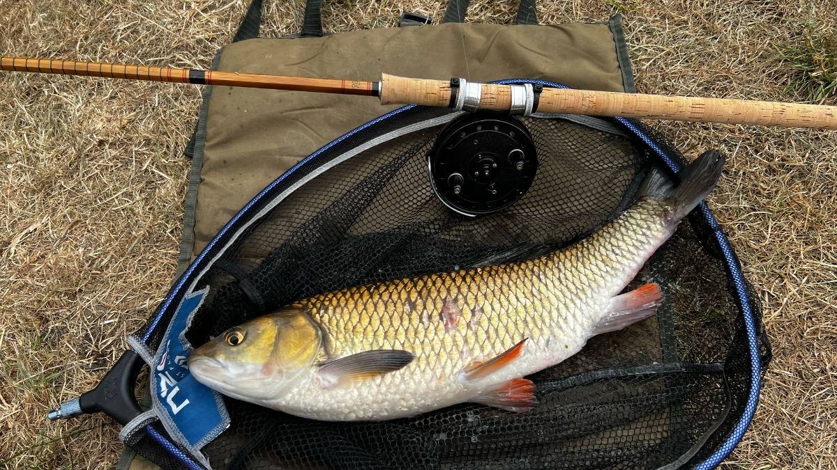 chub alongside rod & reel