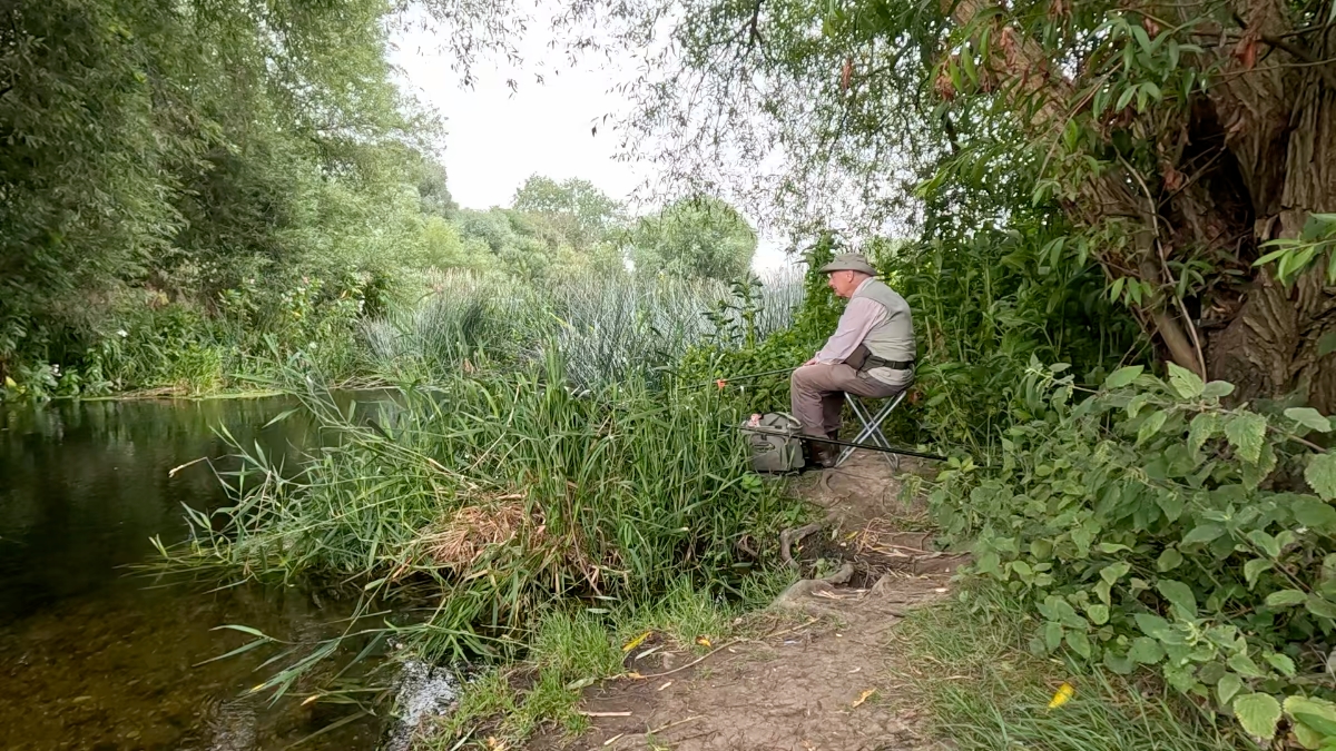 Top of stream