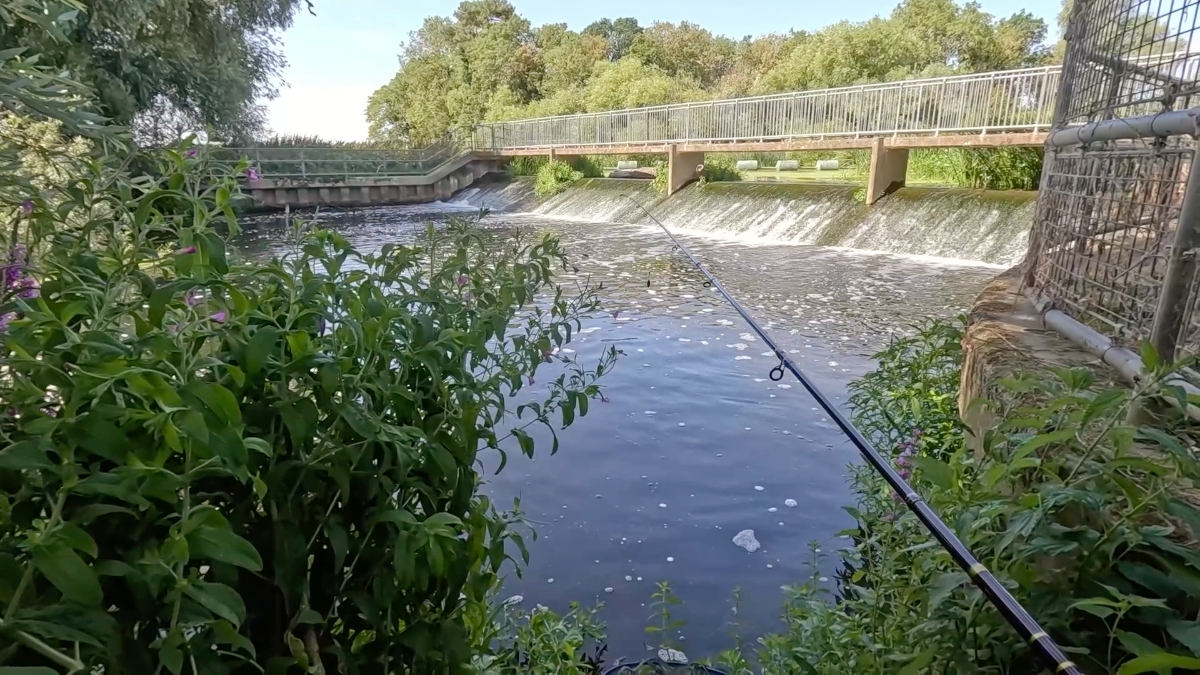 6 gate weir