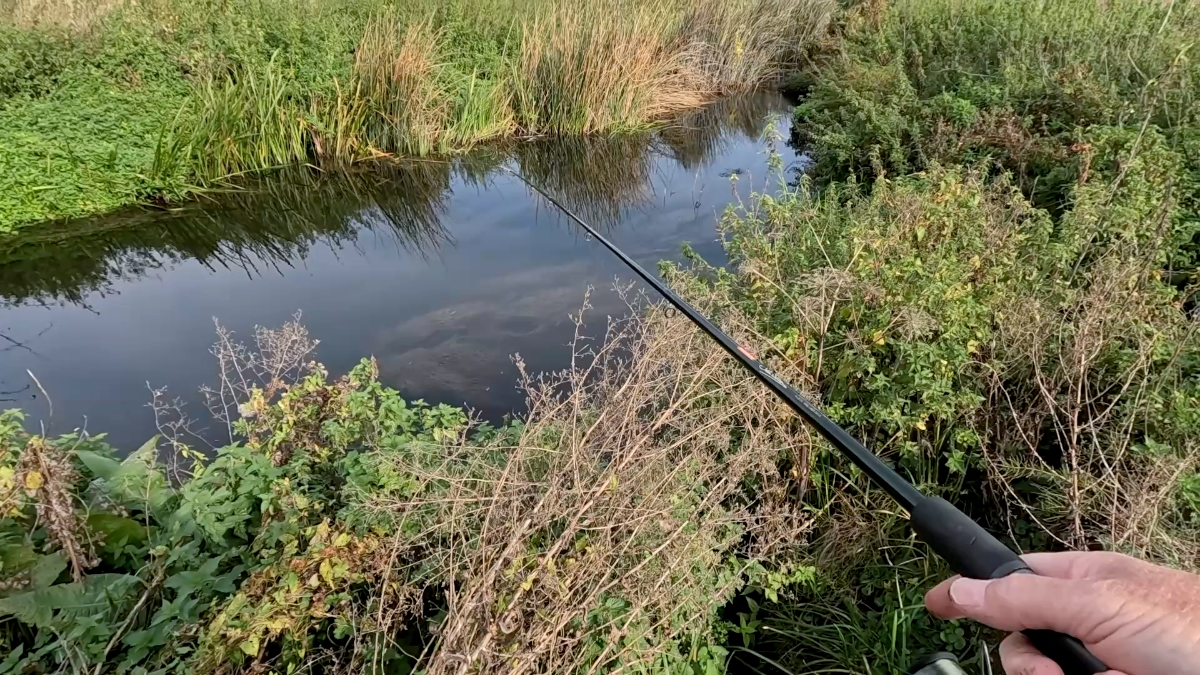 trout stream