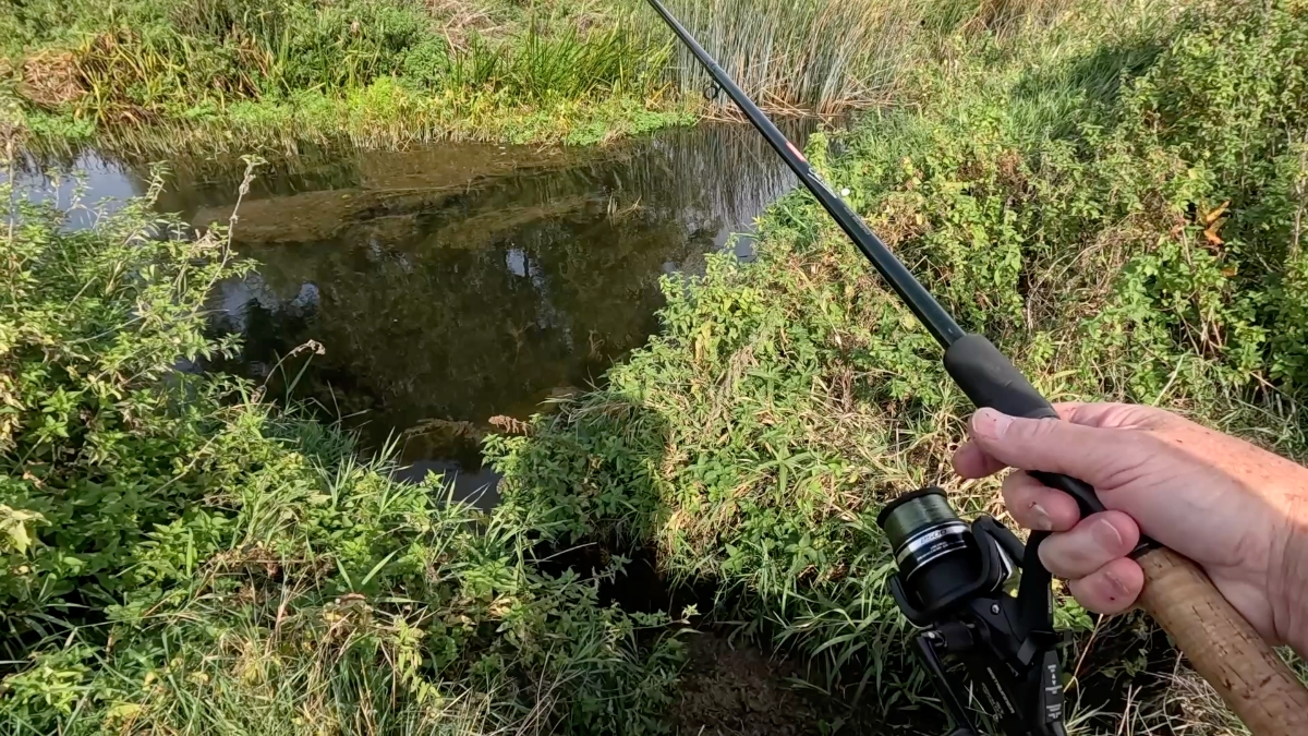 trout stream