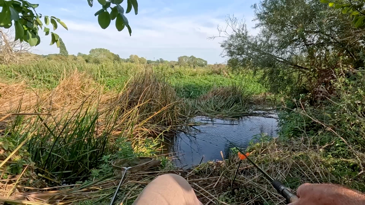 trout stream