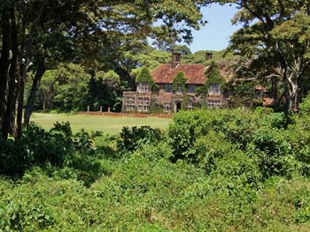 Giraffe Manor