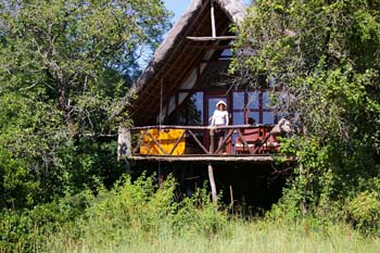 Our tree house