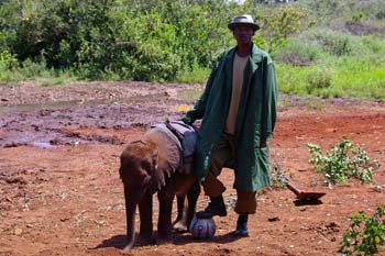 Elephant Sanctuary